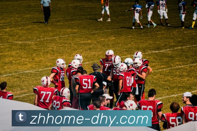 大红鹰DHY官网全站App