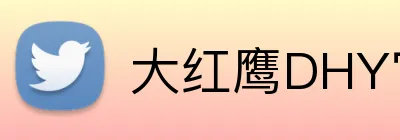 大红鹰DHY官网 Logo