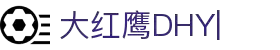 大红鹰dhy(中国)有限公司官网